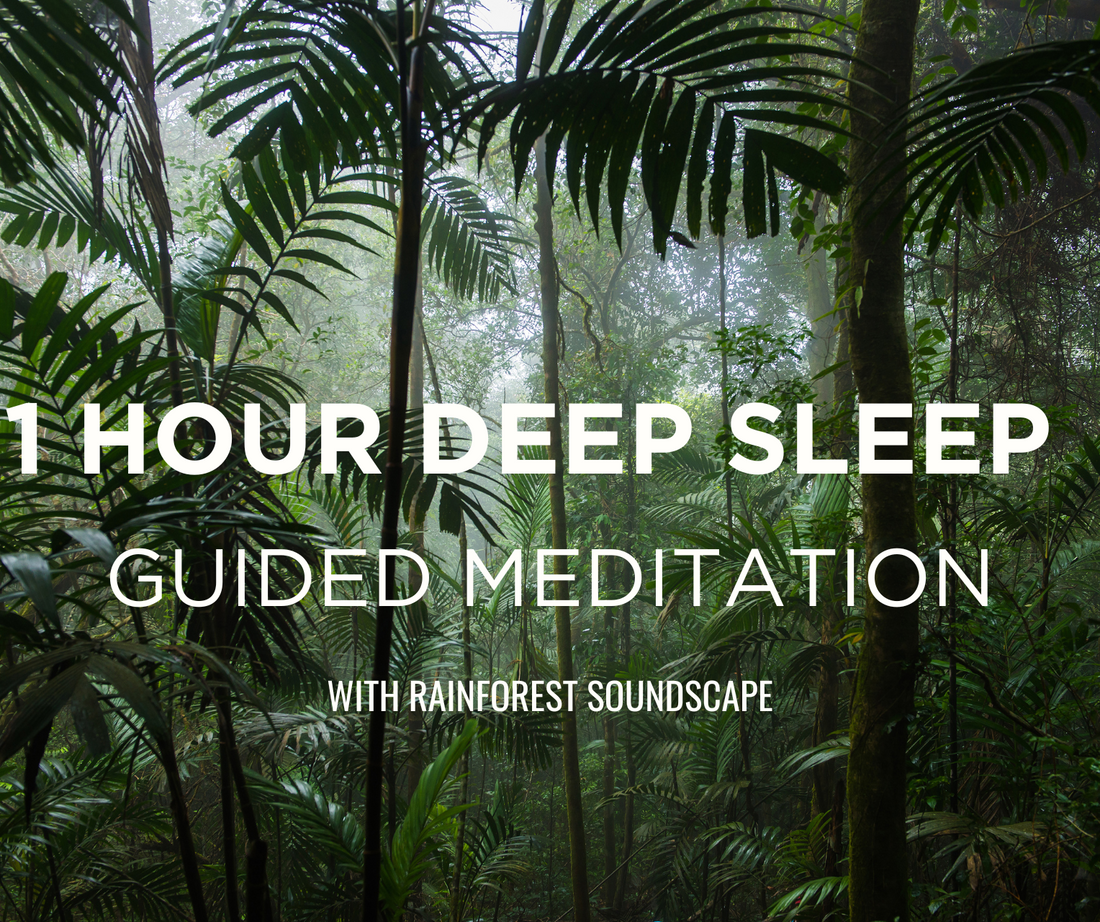 One Hour Guided Meditation for Deep Sleep with Rainforest Sounds