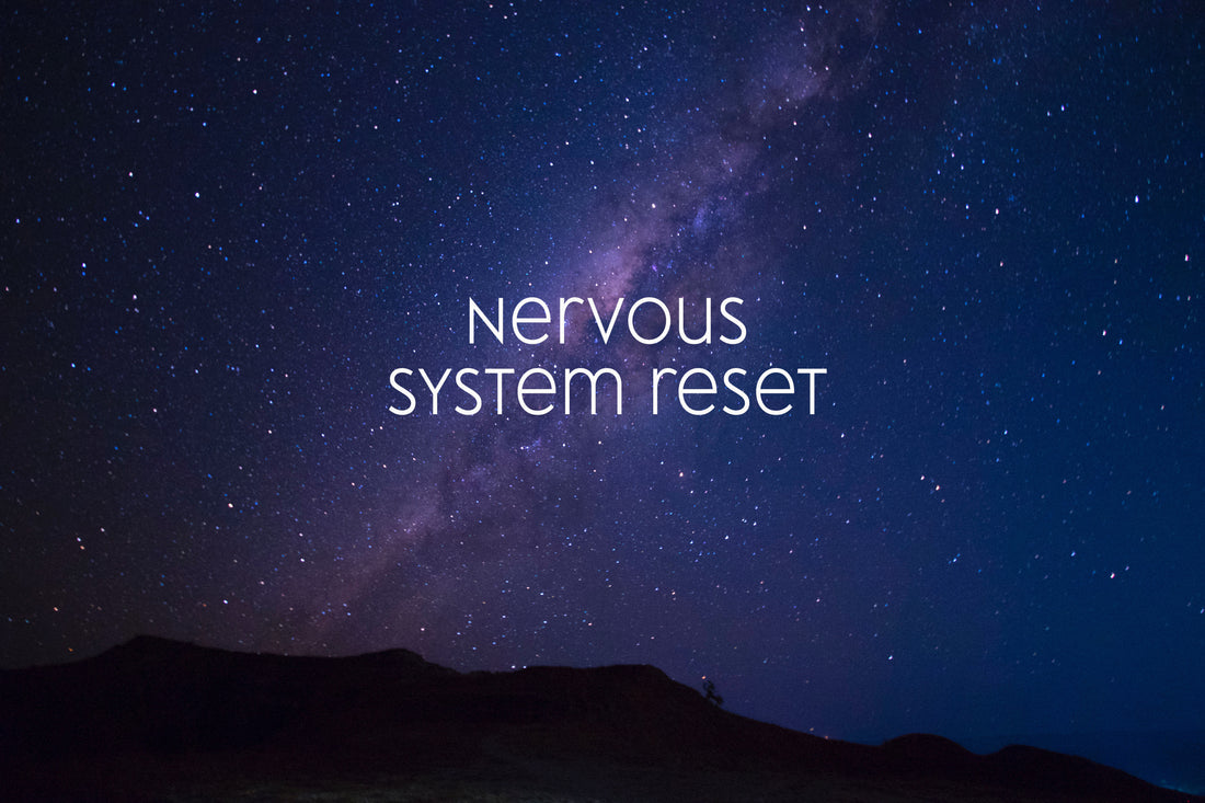 Reset Your Nervous System with Guided Meditation: Listen Now