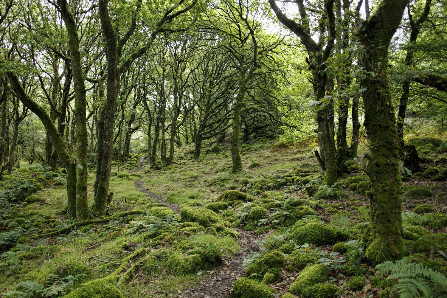 Art and Nature Sounds: A Powerful Experience for Self-Discovery