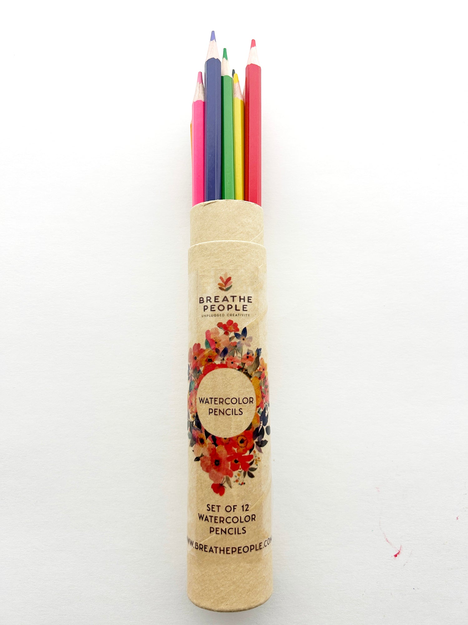 12-Color Watercolor Pencil Set for Beginner-Friendly Creative Play