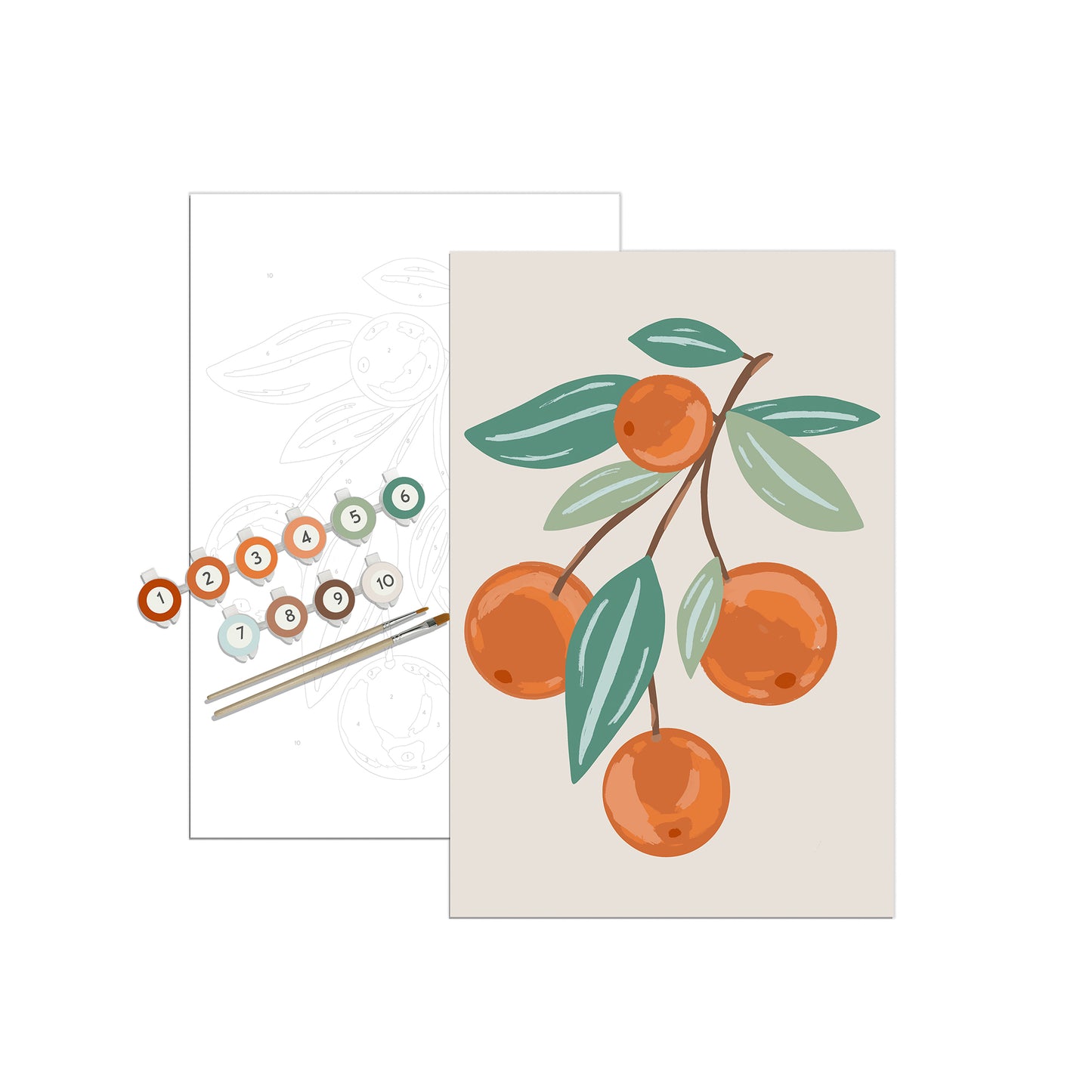 Citrus Branch Meditative Art Paint by Number Kit