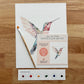 Hummingbird All-In-One Watercolor Kit