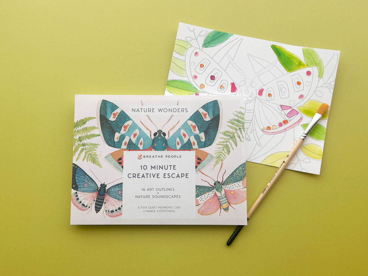 Nature Wonders 10 Minute Creative Escape Gift Set
