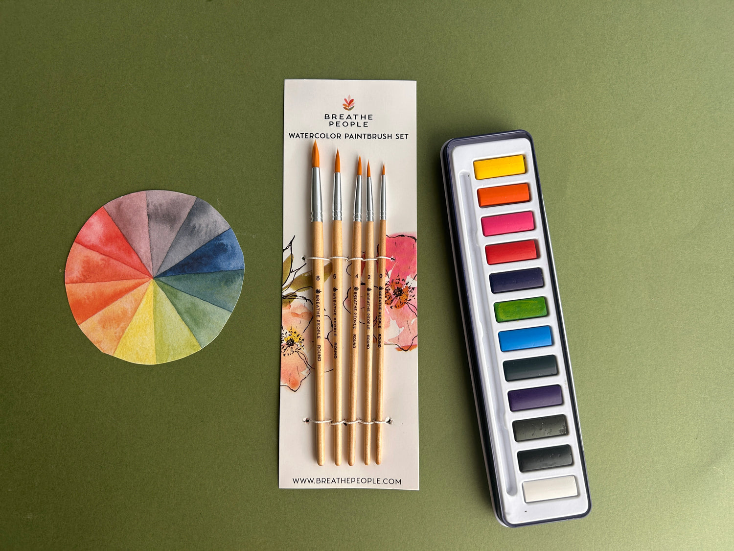 Round Watercolor Brush Set for Adults, 5 Brushes Sizes 0-8