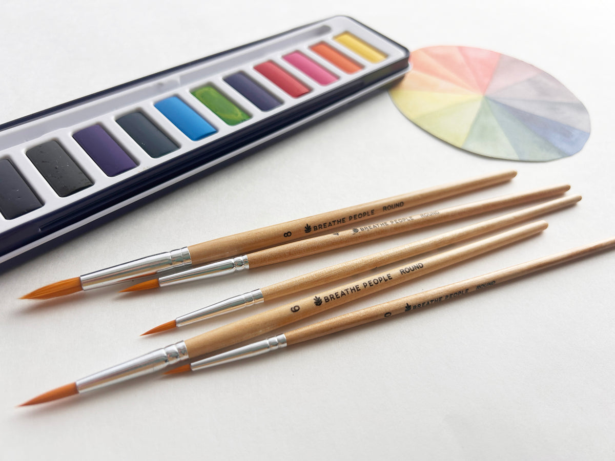 Round Watercolor Brush Set for Adults, 5 Brushes Sizes 0-8